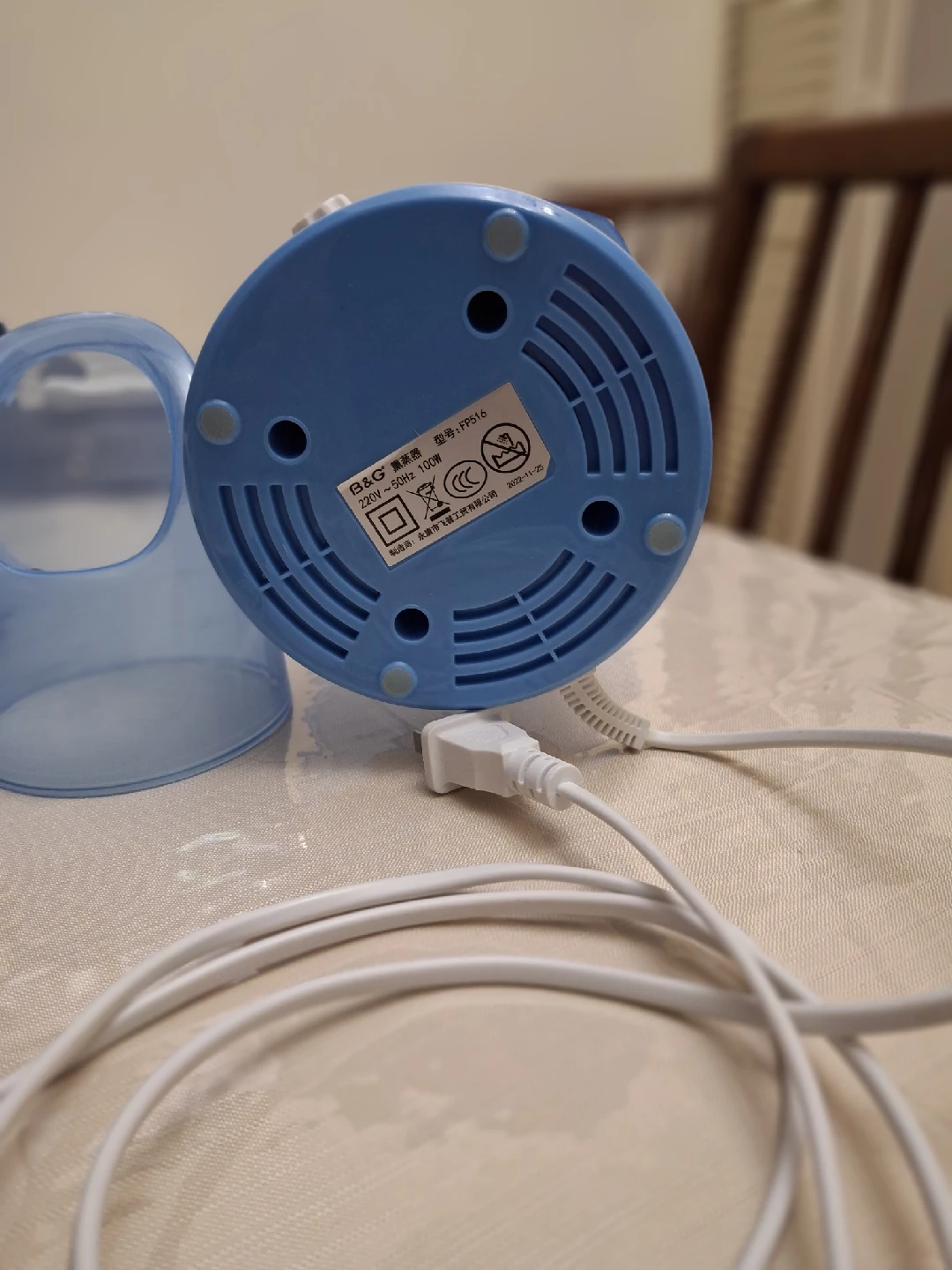 facial electric steamer