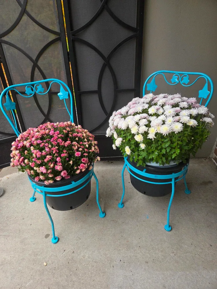 Decorative Wrought Iron Garden Chair Planters image indicator(3)