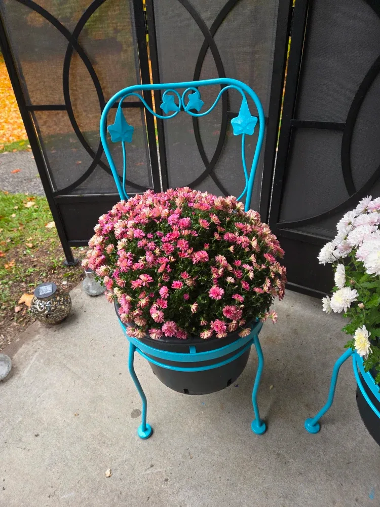 Decorative Wrought Iron Garden Chair Planters image indicator(4)