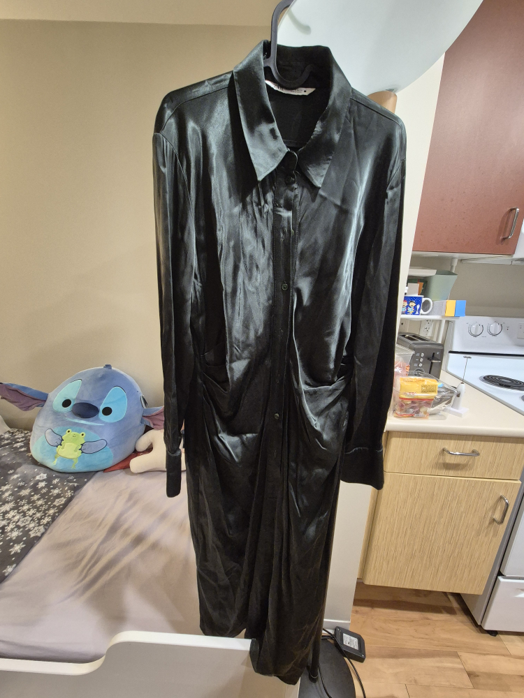 Zara Satin Shirt Dress - Size XL