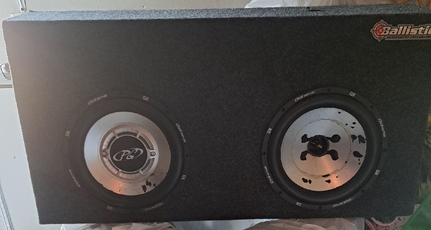 Dual Phoenix Gold two 10 inch Subwoofer with box