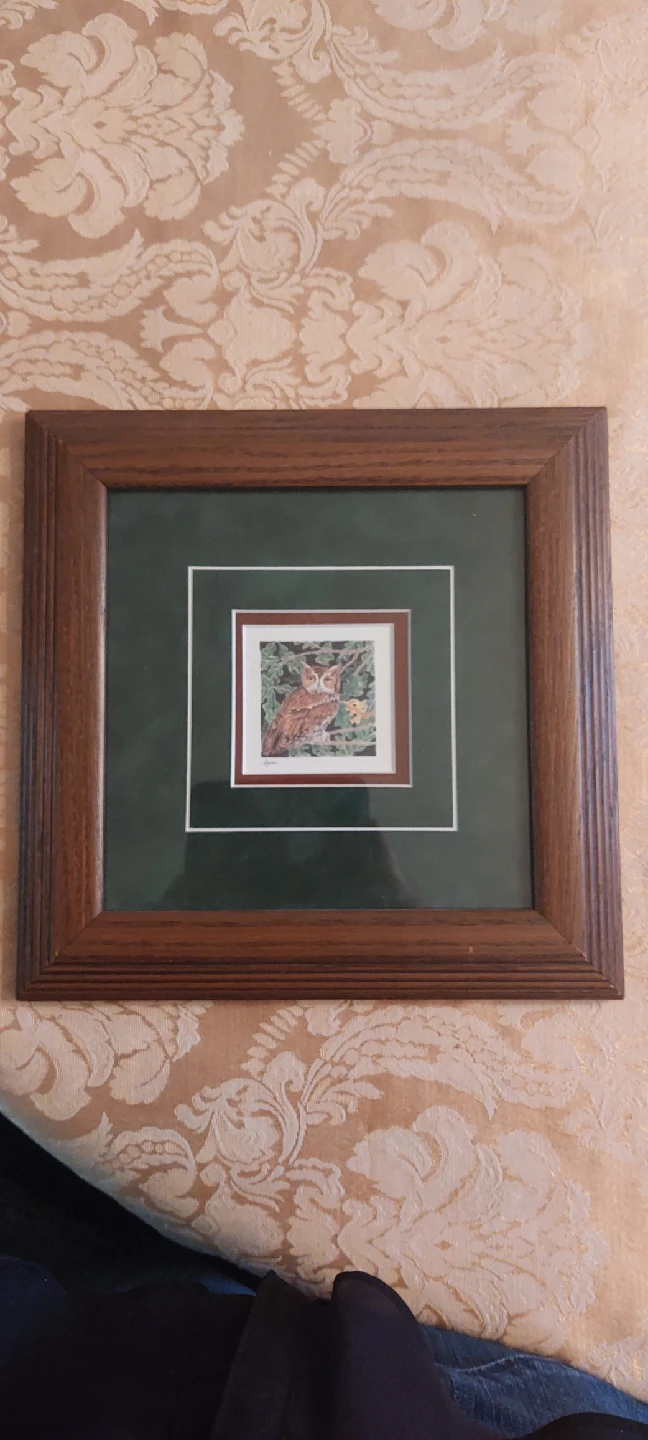 Framed Owl Print