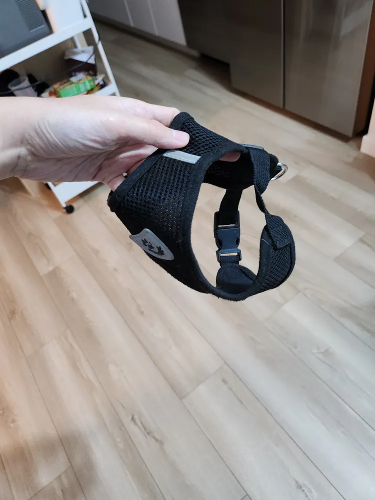 Black Dog Harness image indicator(3)