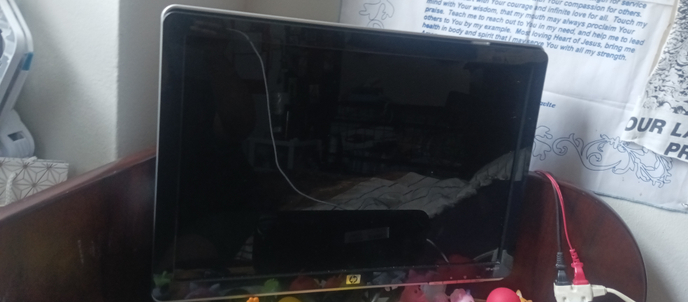 22" HP LCD Monitor - Great Condition!