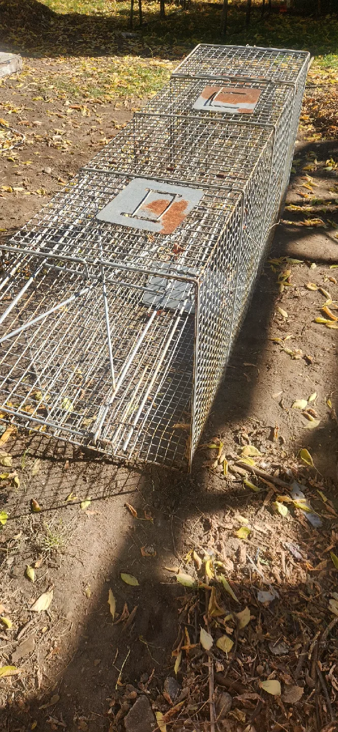 Havahart Easy Set Live Animal Cage Trap image indicator(3)