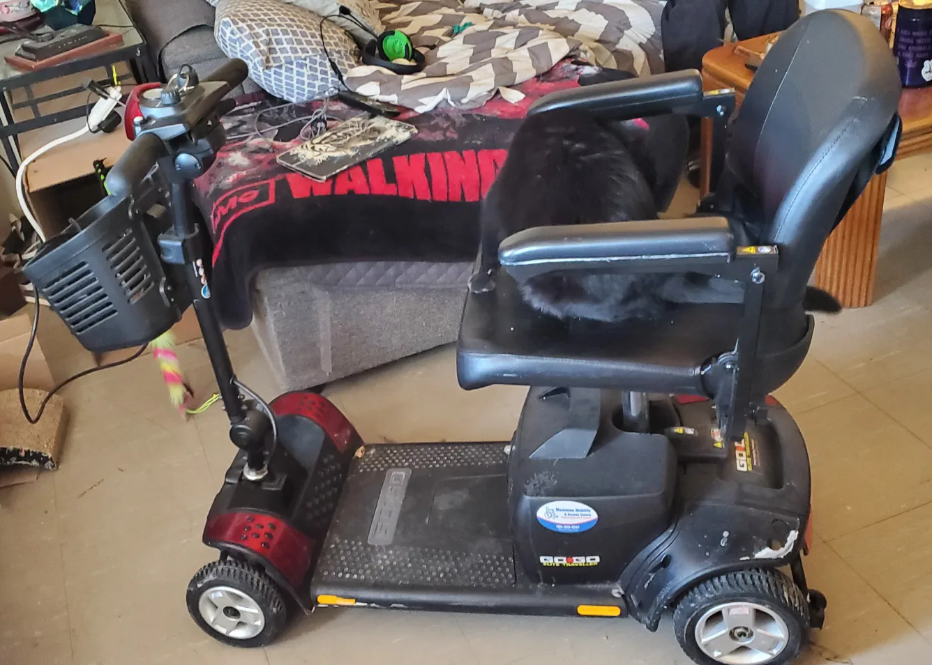 Go-Go Elite Traveller Mobility Scooter image indicator(2)