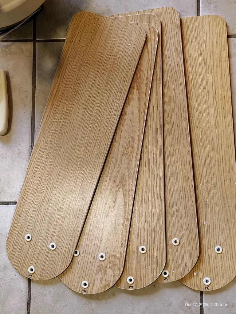 Hunter Ceiling Fan with Remote and light image indicator(2)