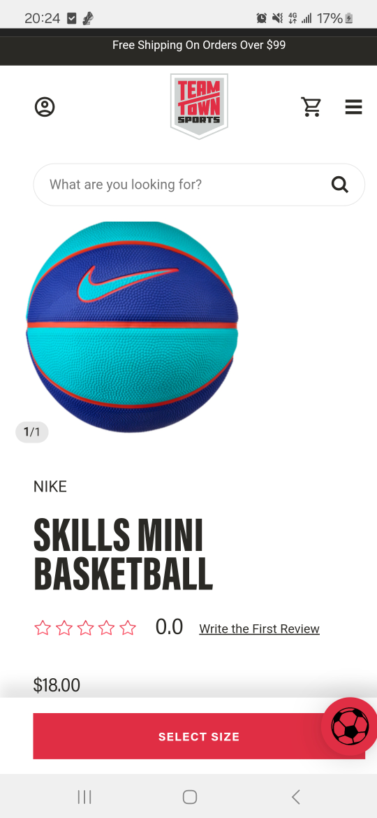 Nike Pink & Mint/ Purple & Green Skills Mini Basketballs - photo 3