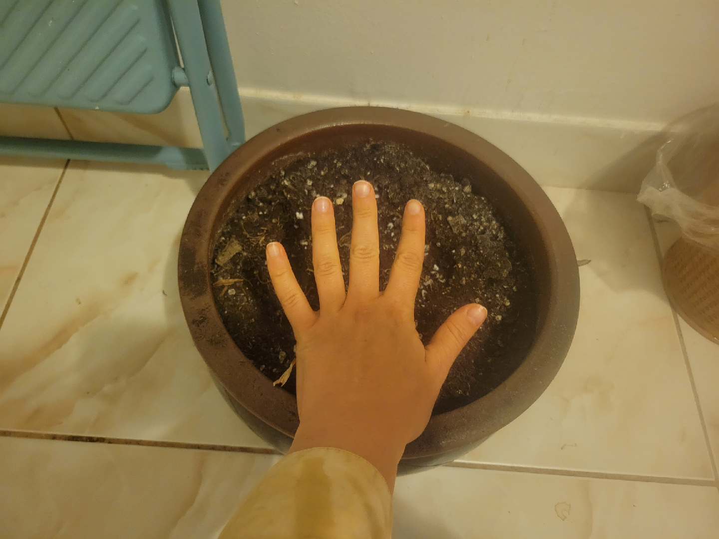 large ceramic plant pot - photo 2
