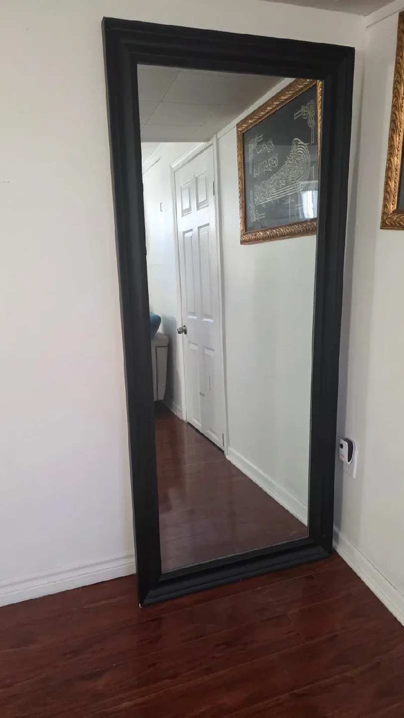 Large Black Framed Mirror image indicator(2)