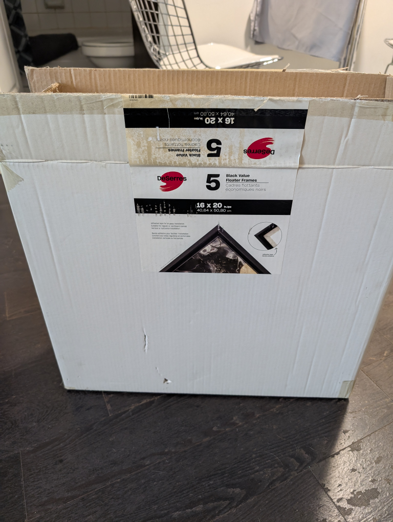 MOVING SALE New DeSerres Black Floater Frames+2 Canvases