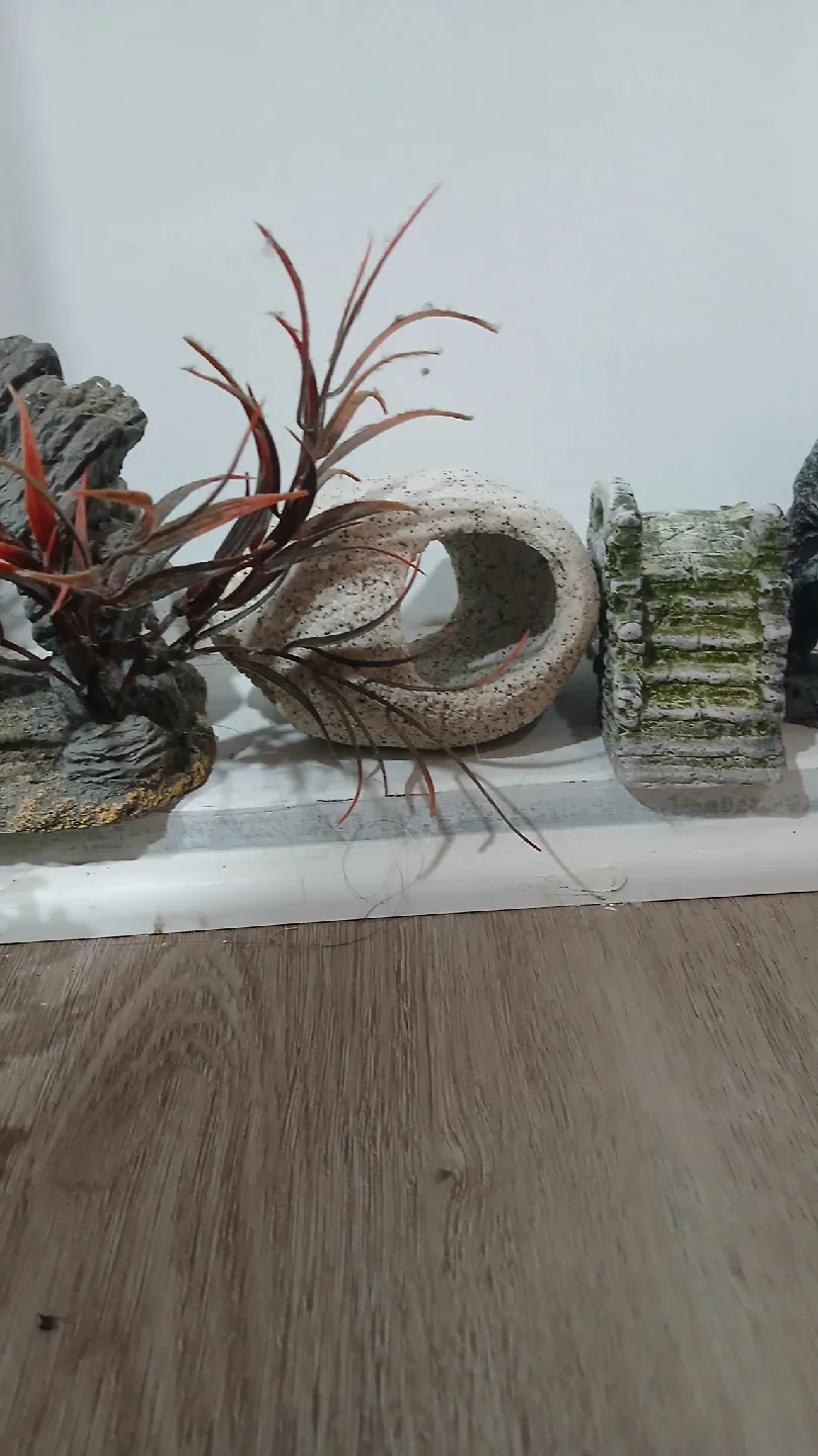 Aquarium Decorations image indicator(5)