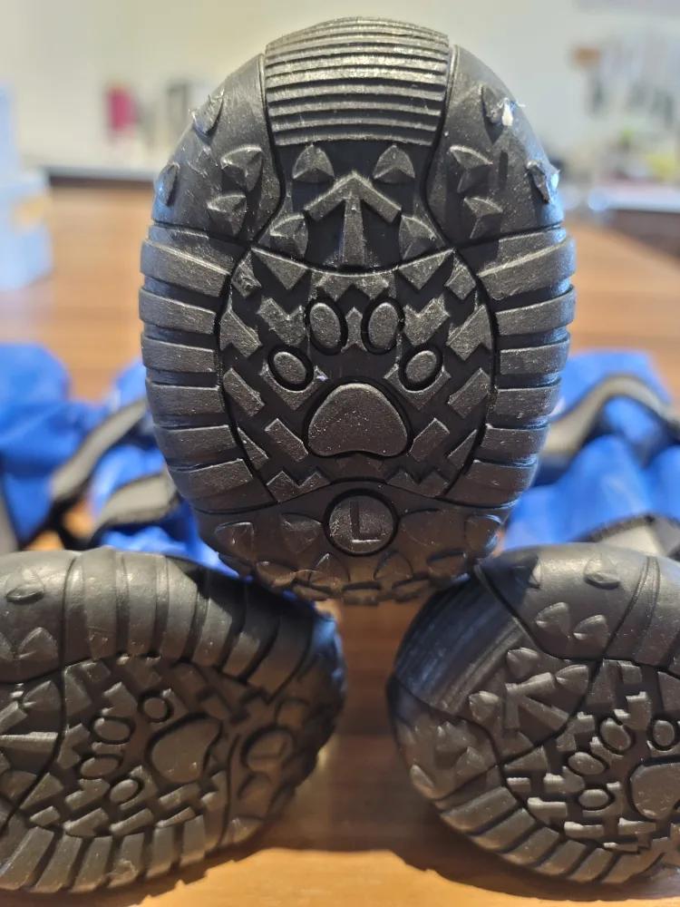 🥕 Blue Dog Boots image indicator(3)