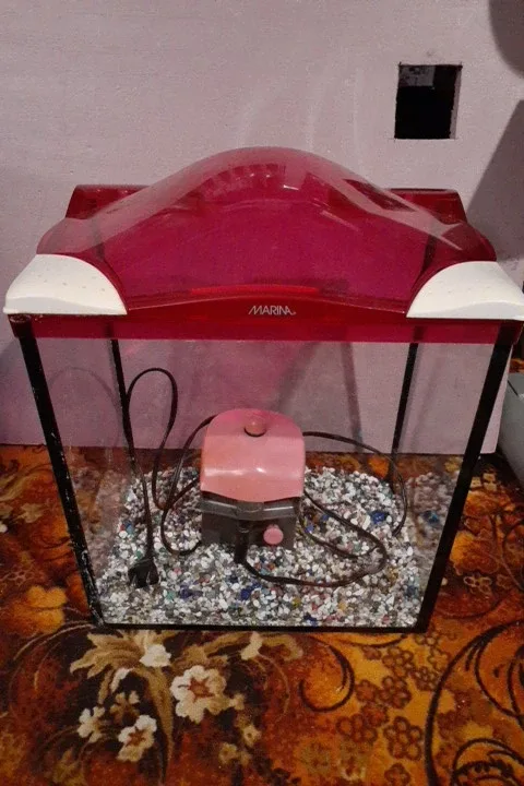 Marina Fish Tank with Accessories image indicator(3)