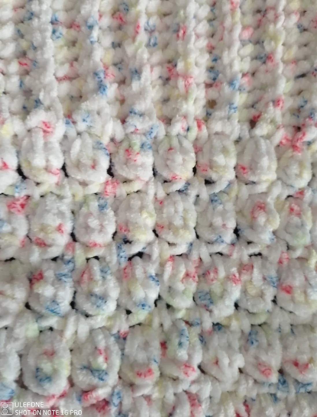 Dog coat image indicator(2)