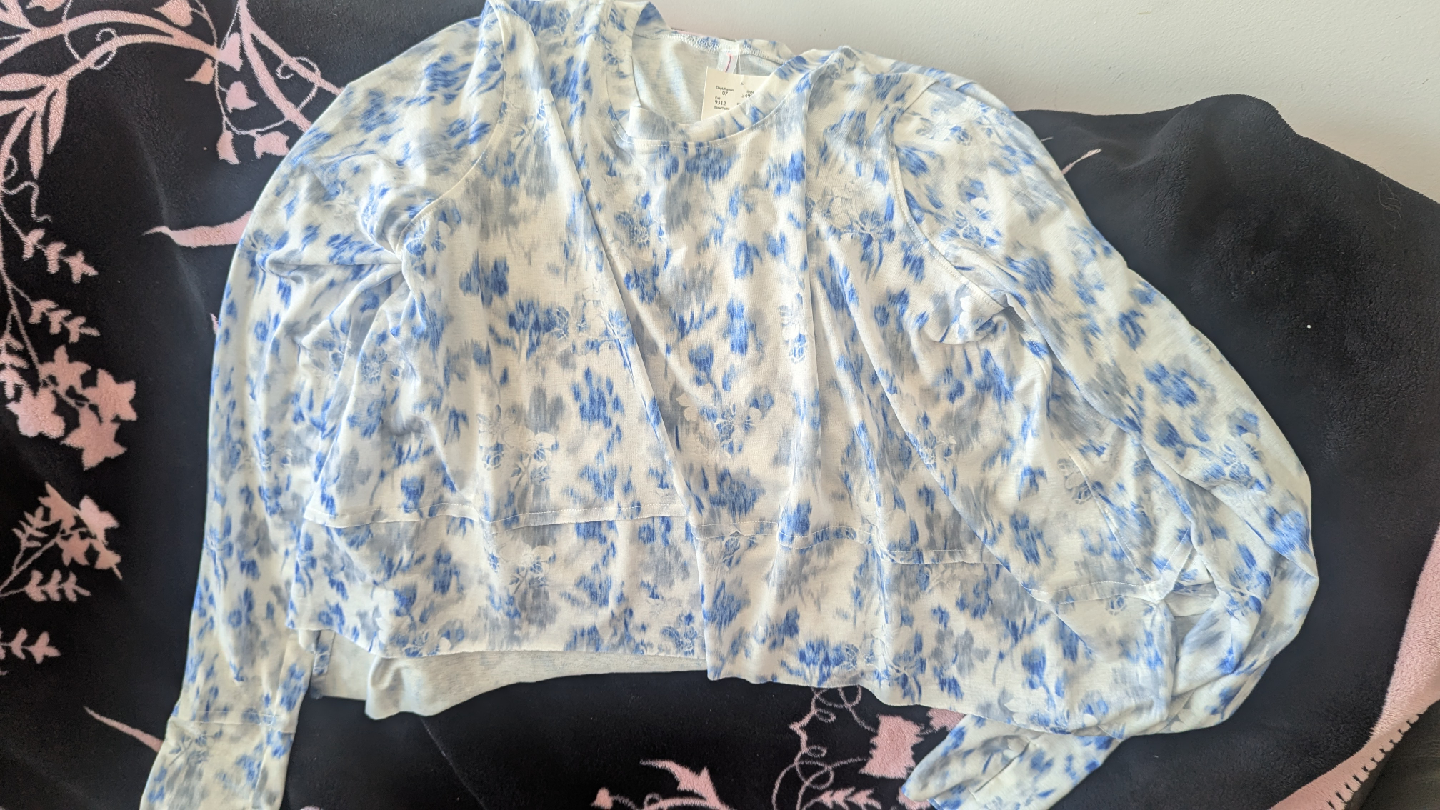Free People Blue Floral Top