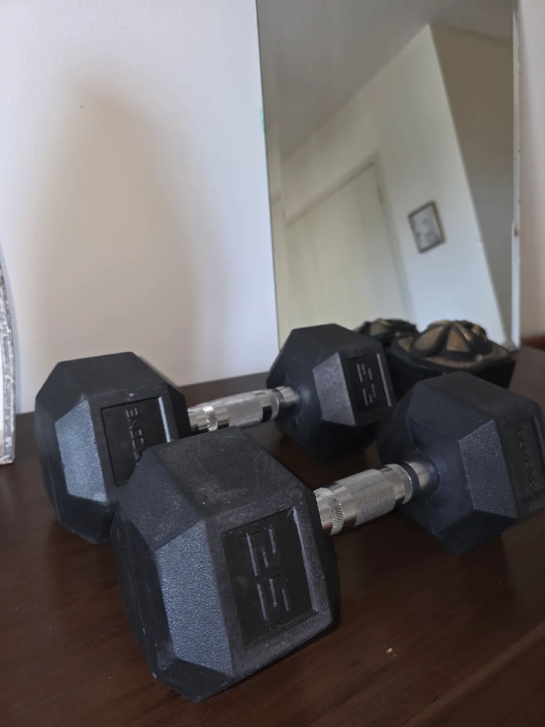 Everyday Essentials 25lb Dumbbells - Pair thumbnail