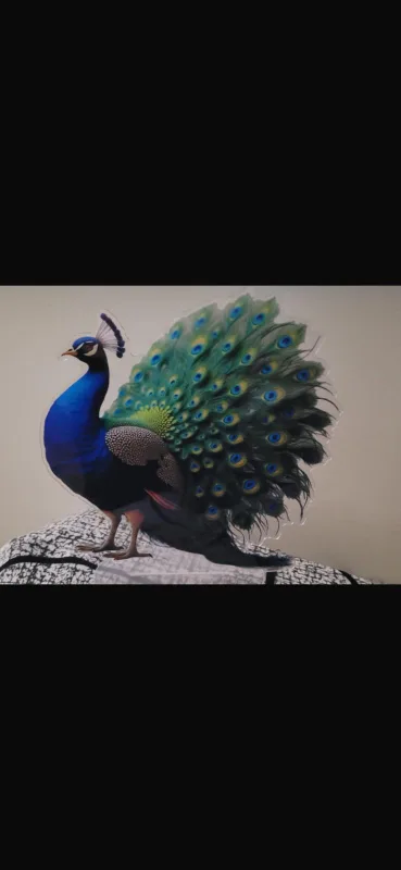 Fairy & Mushroom Night Light