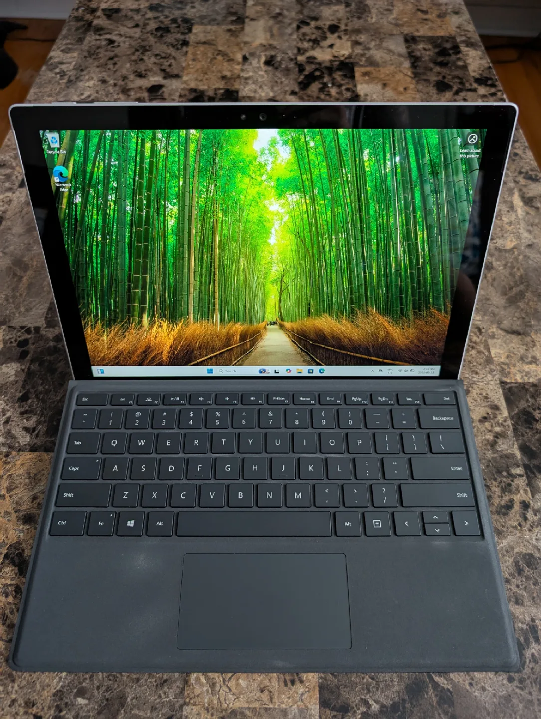 Microsoft Surface Pro 4 (Touch Screen) thumbnail