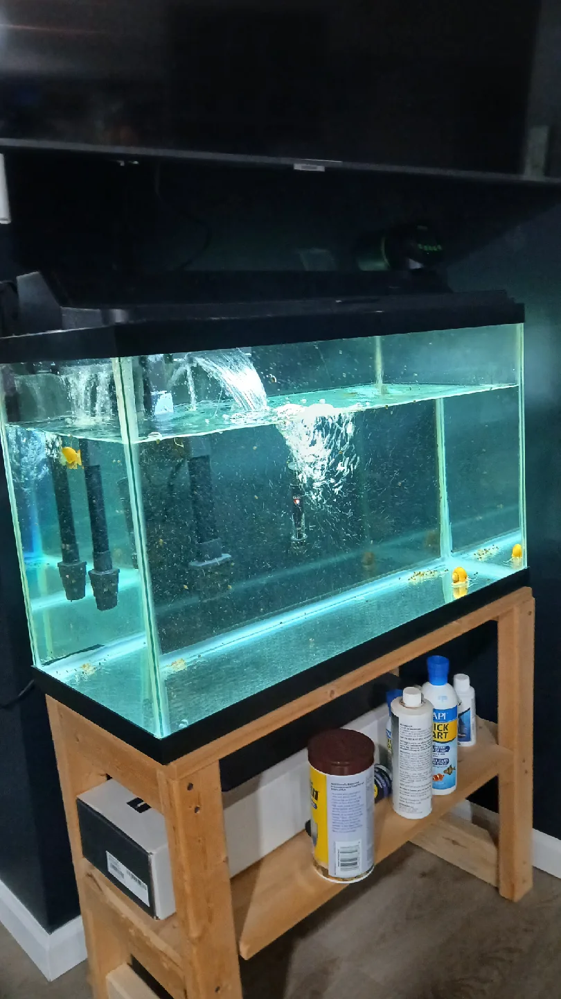 Used Fish Tank image indicator(2)