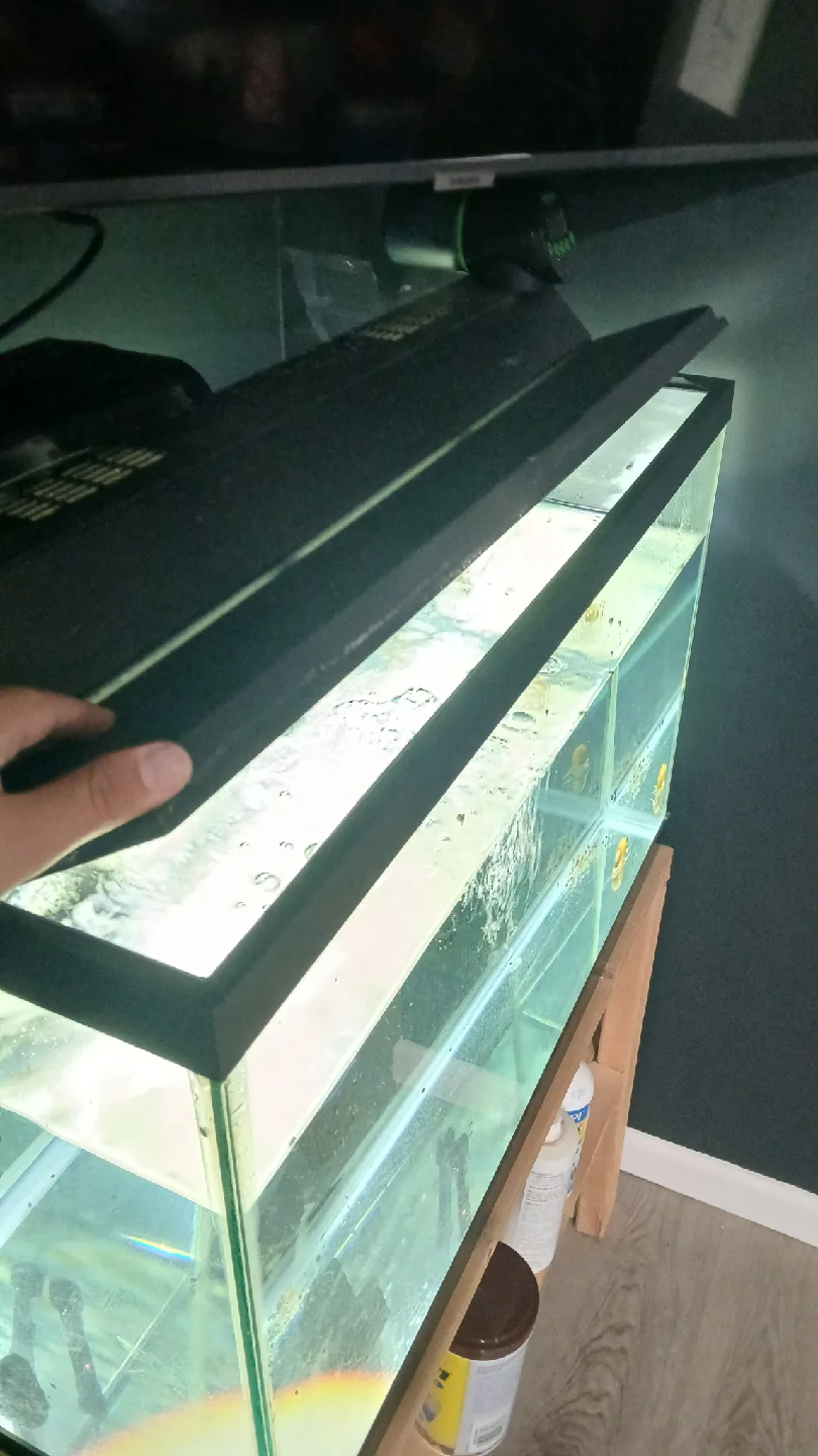 Used Fish Tank image indicator(3)