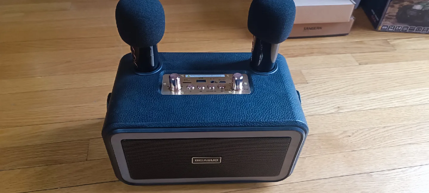 BIGASUO KA217 Karaoke Machine w/ 2 Mics - New image indicator(2)