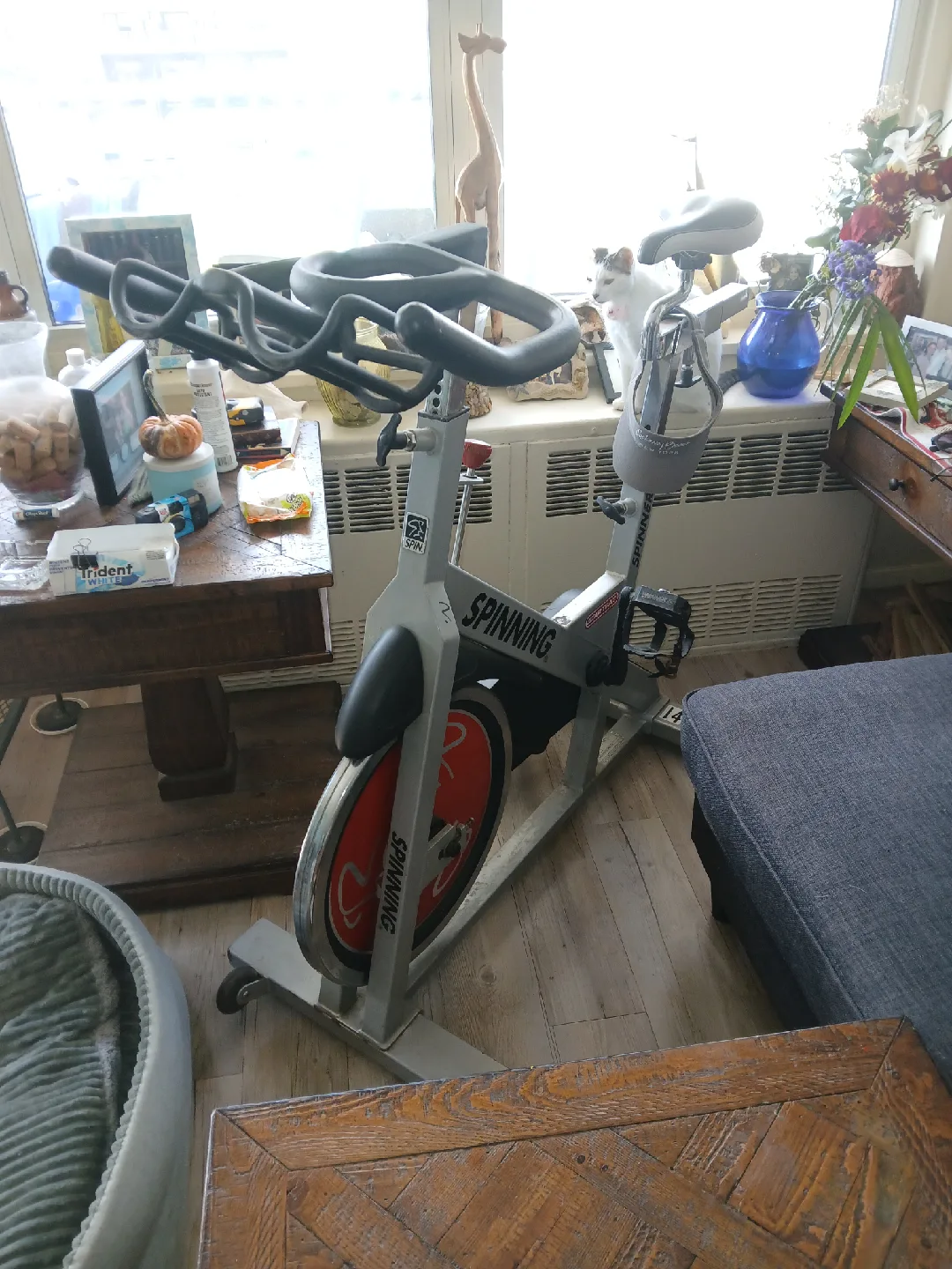 Spinning Stationary Exercise Bike/pro model image indicator(6)