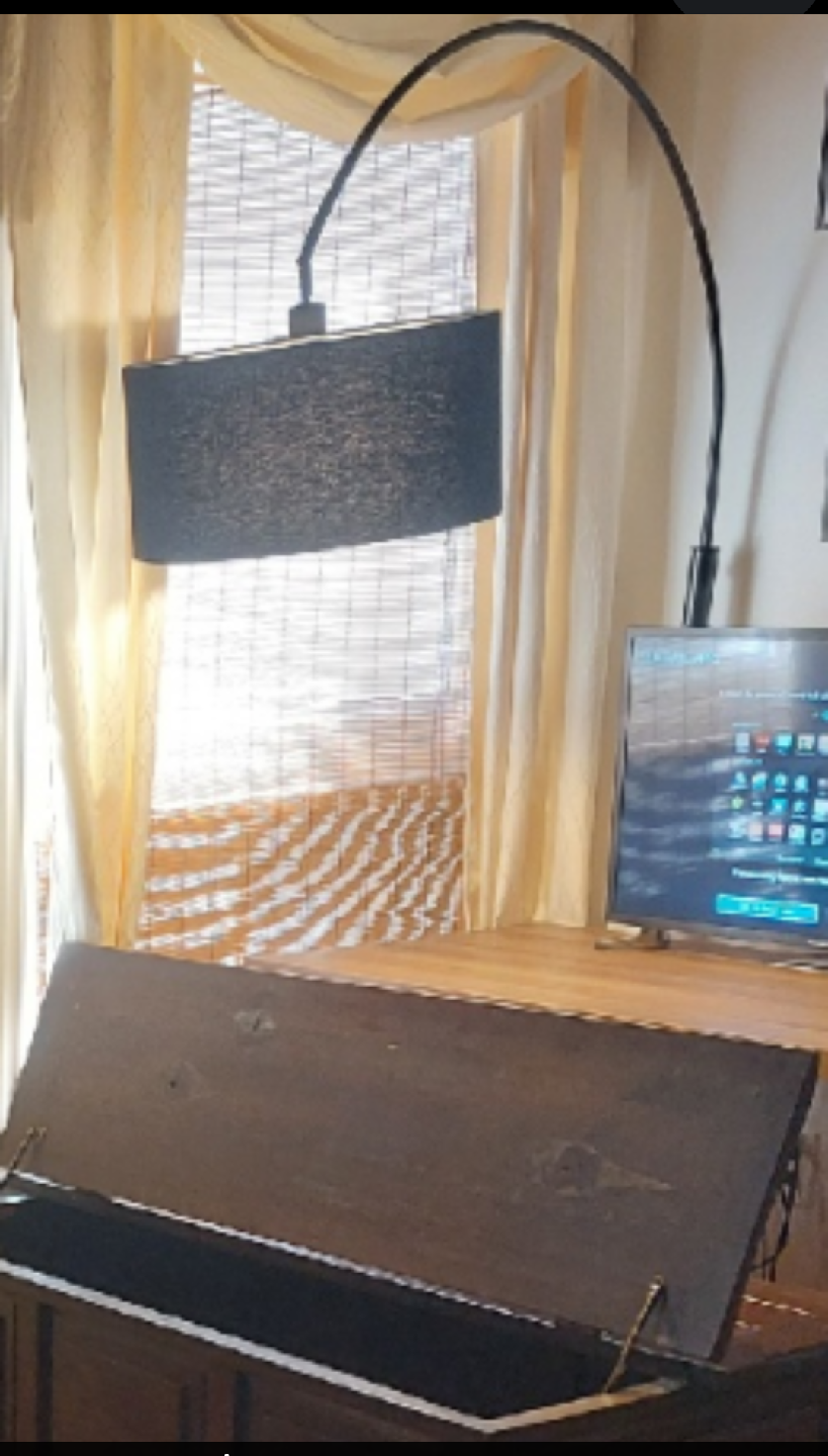 Black Arc Floor Lamp