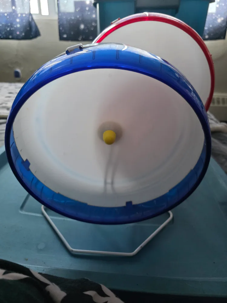 Kaytee 10" silent spinner hamster wheels image indicator(2)