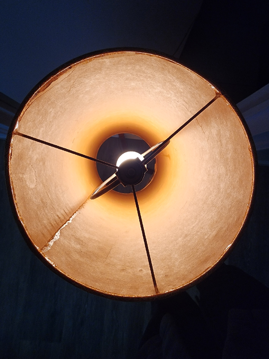 Mid-Century Modern Floor Lamp - photo 3