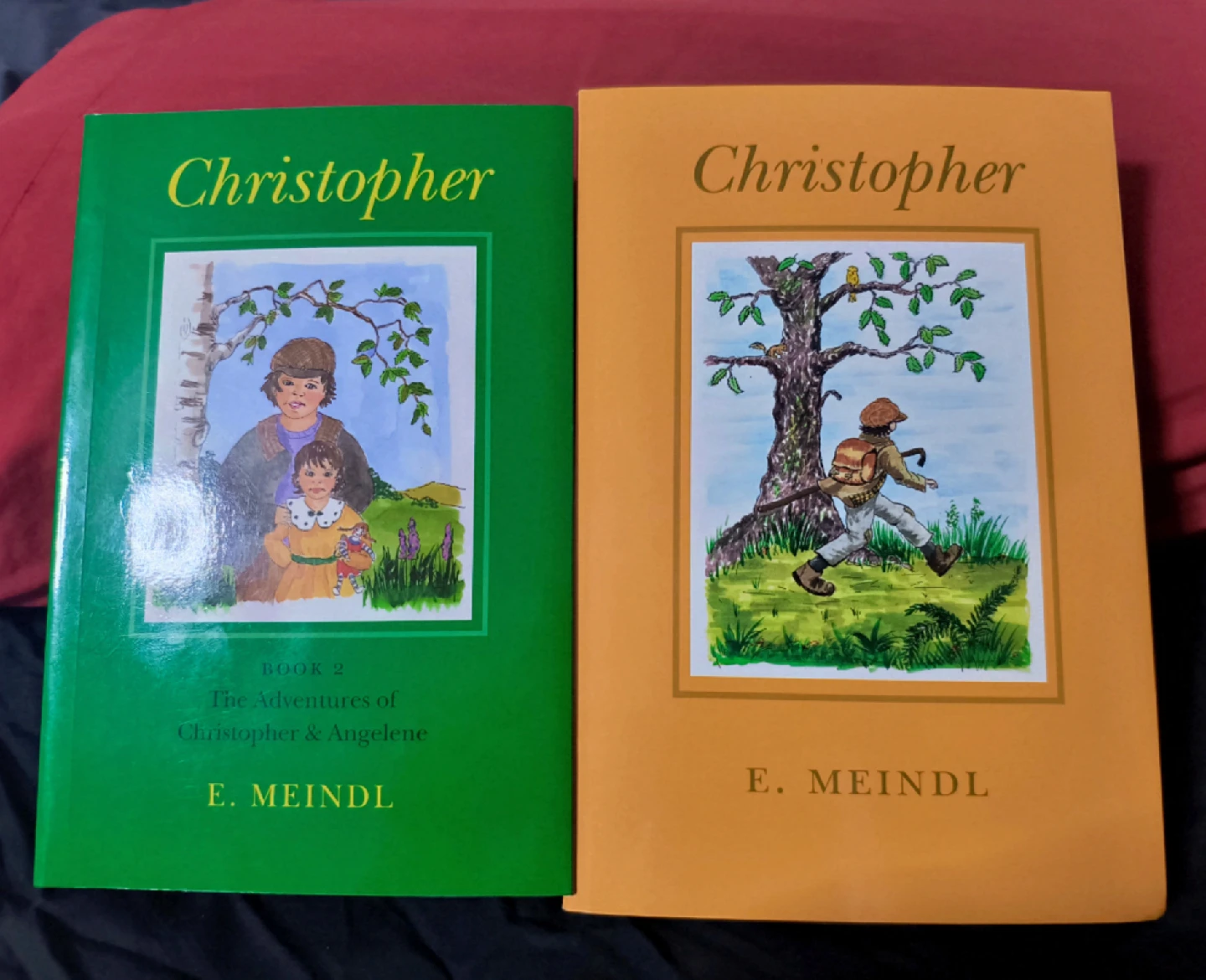 The Adventures of Christopher & Angelene Book Set