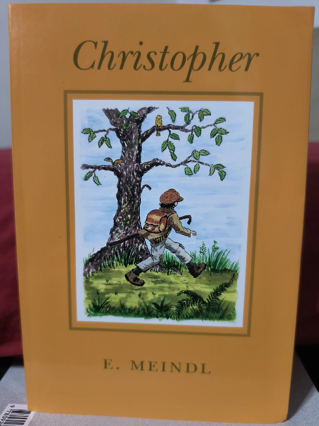 The Adventures of Christopher & Angelene Book Set - photo 2
