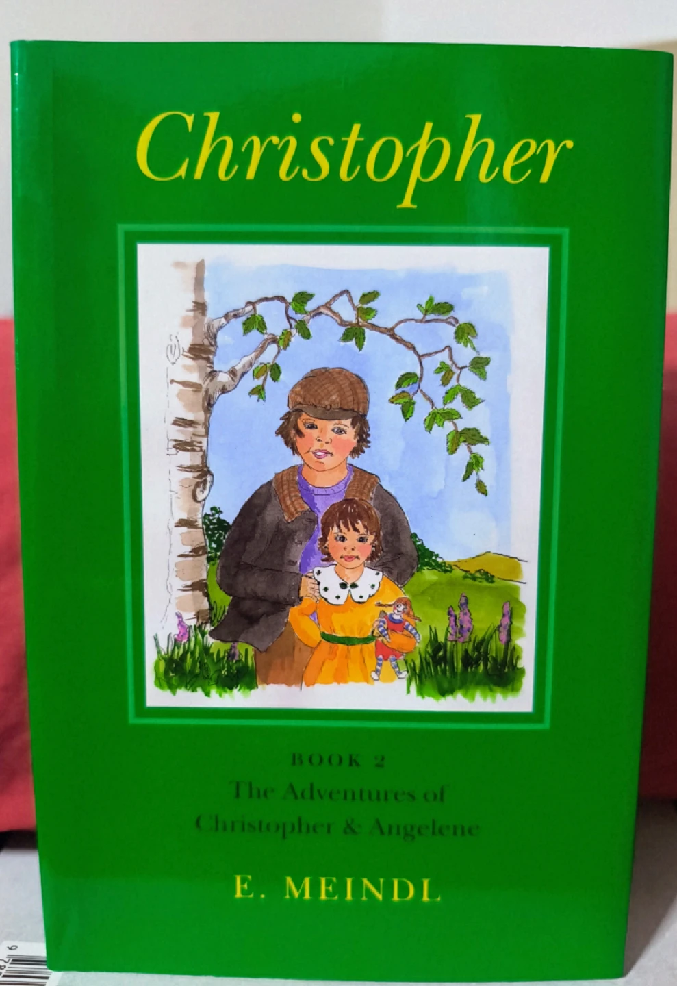 The Adventures of Christopher & Angelene Book Set - photo 3