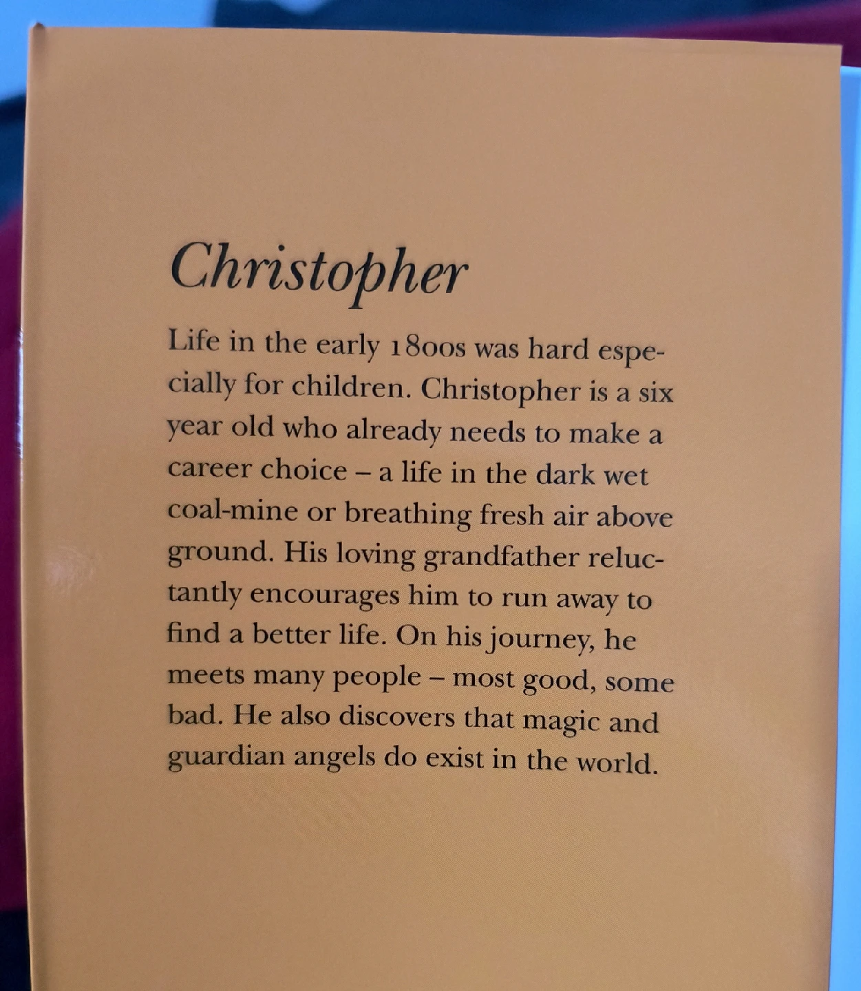 The Adventures of Christopher & Angelene Book Set - photo 4