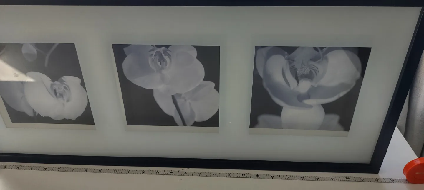 IKEA Black Framed Floral Triptych wooden Wall Art image indicator(6)