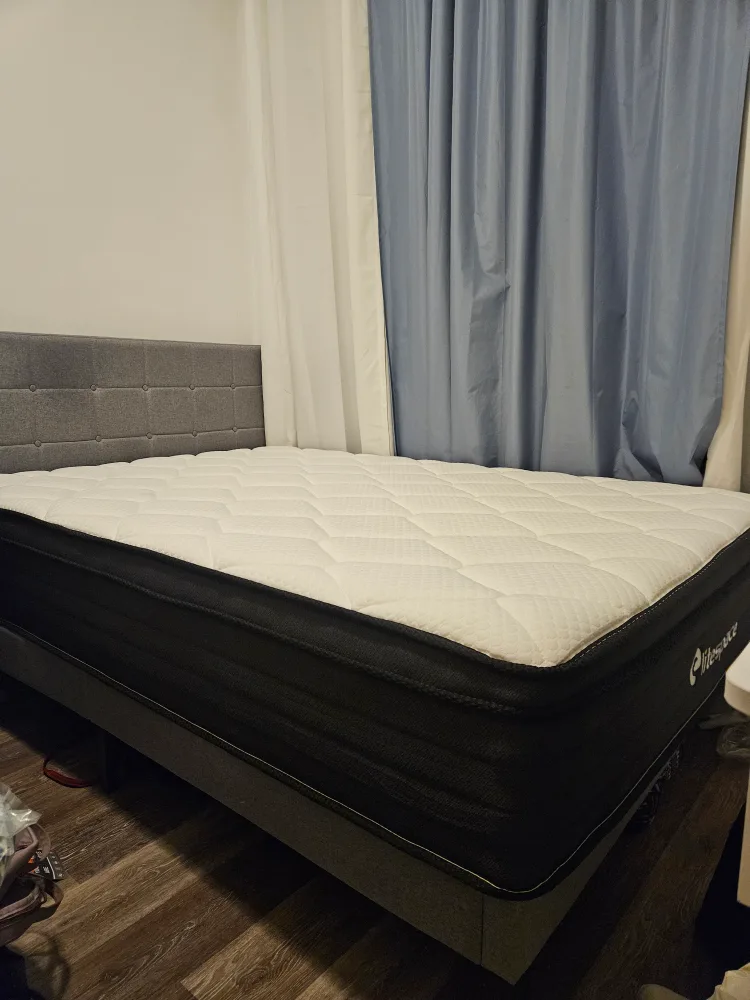 Full/Double Mattress and Bedframe for Sale image indicator(3)