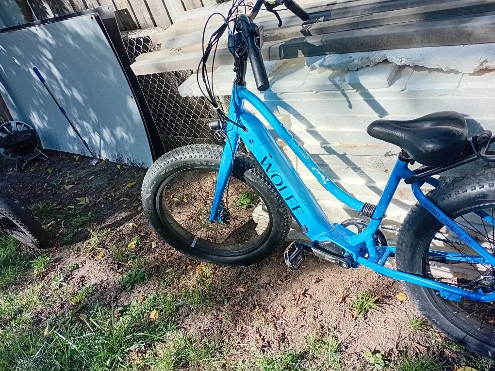 Wolfe Electric Bike - Blue image indicator(2)