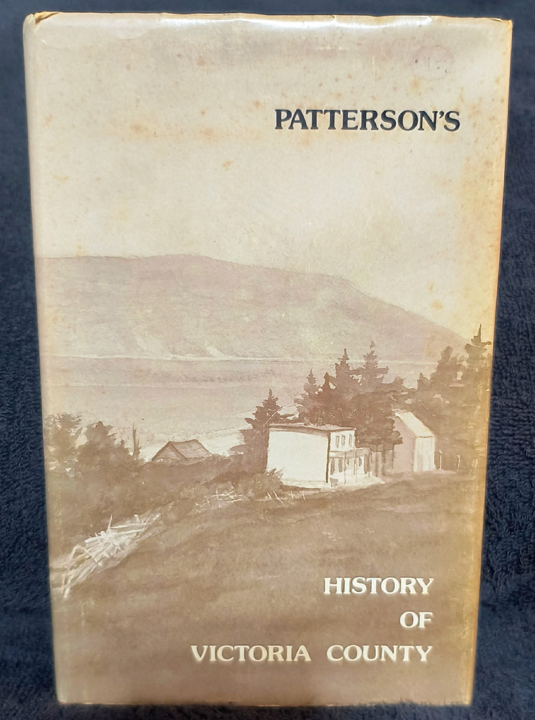 Patterson's History of Victoria County Book