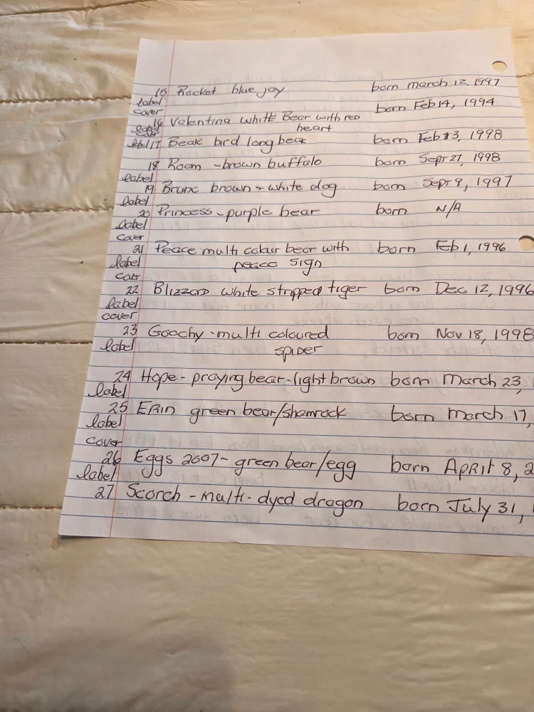 Beanie Babies Collection with tags image indicator(5)