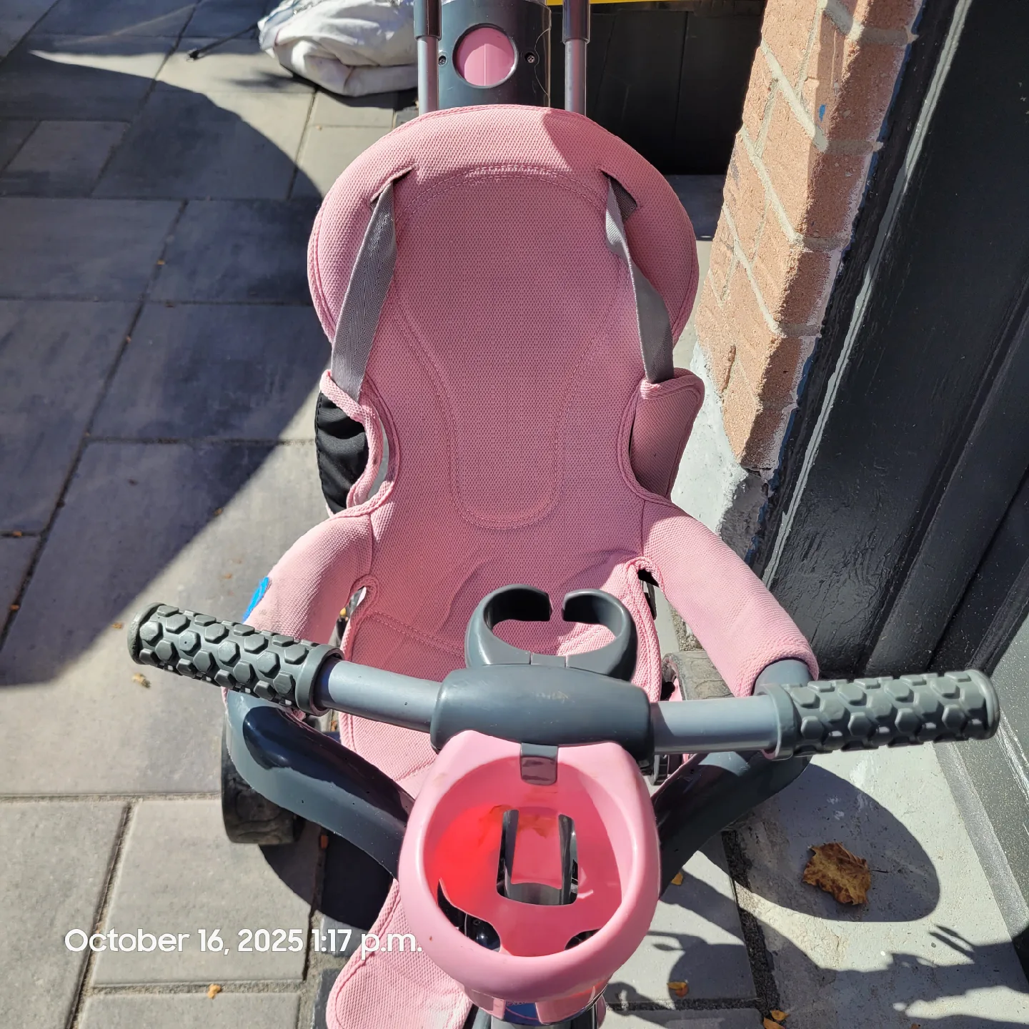Smart Trike Pink Toddler Tricycle image indicator(3)