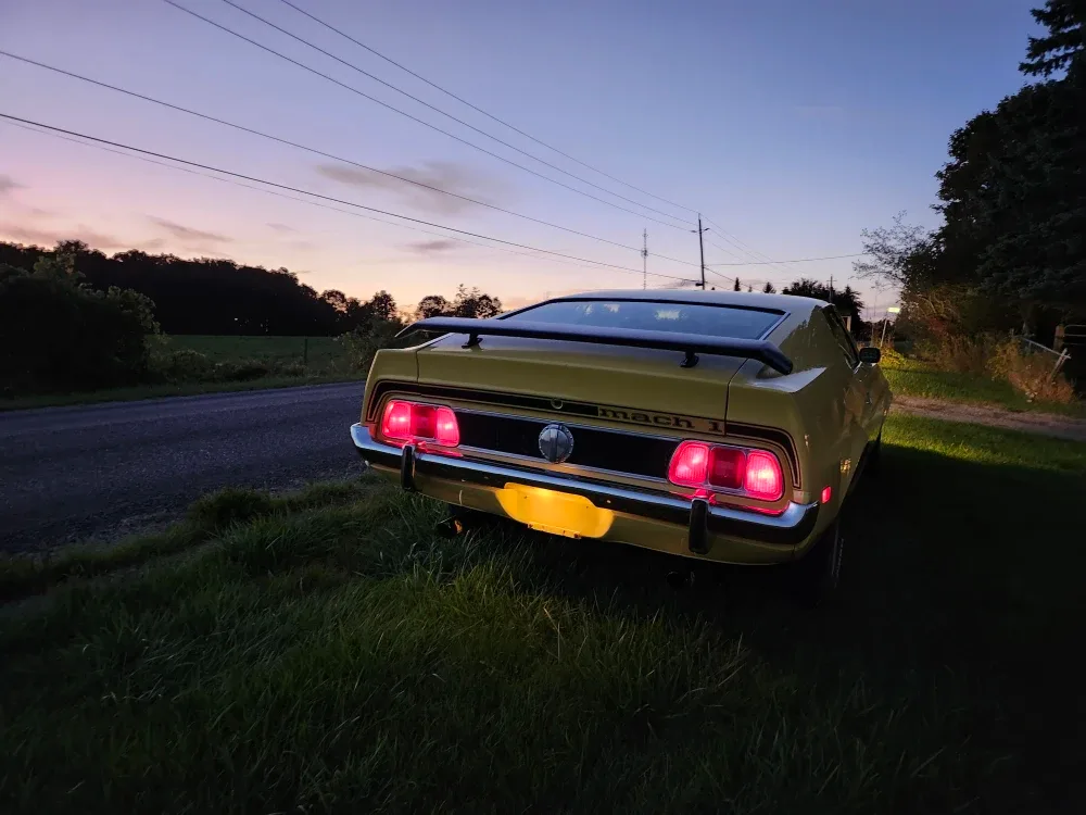 Mustang 1973 Mach 1 image indicator(7)