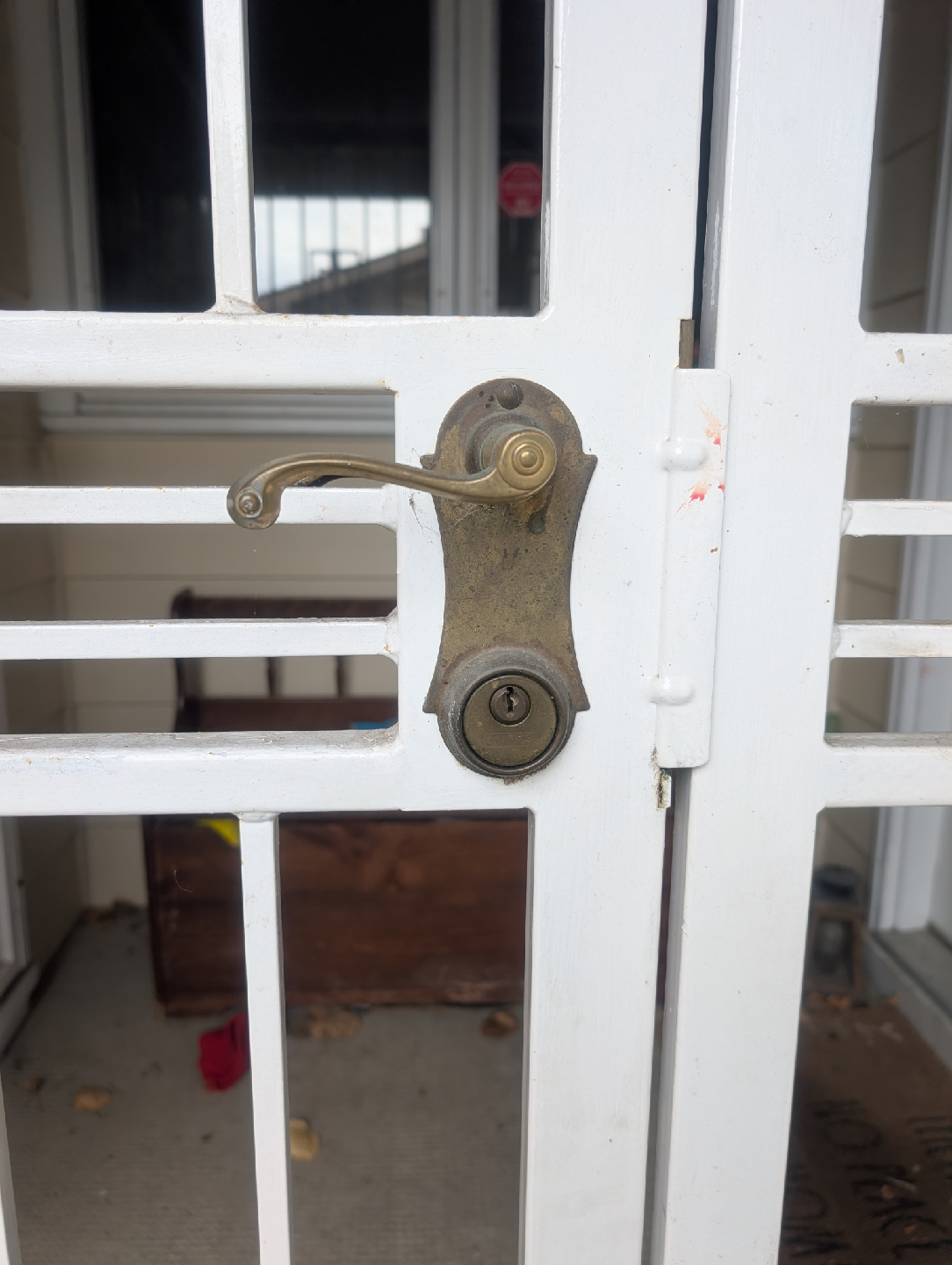 White Security Doors - photo 2