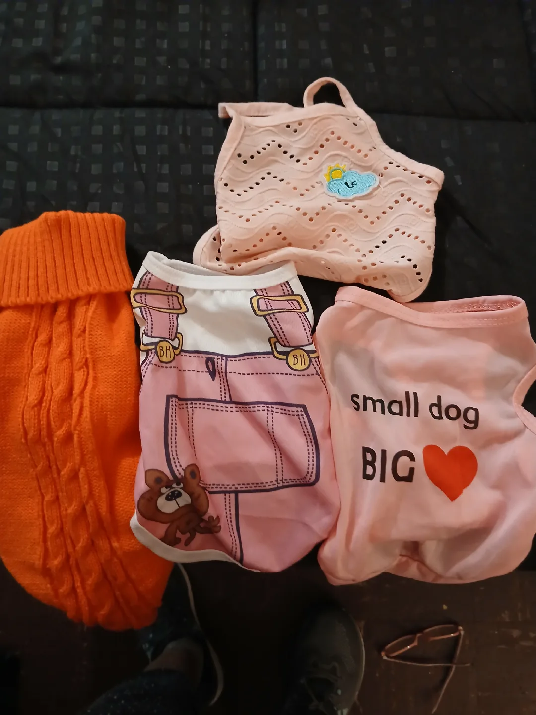 Dog Clothes Bundle - Small Dog image indicator(2)