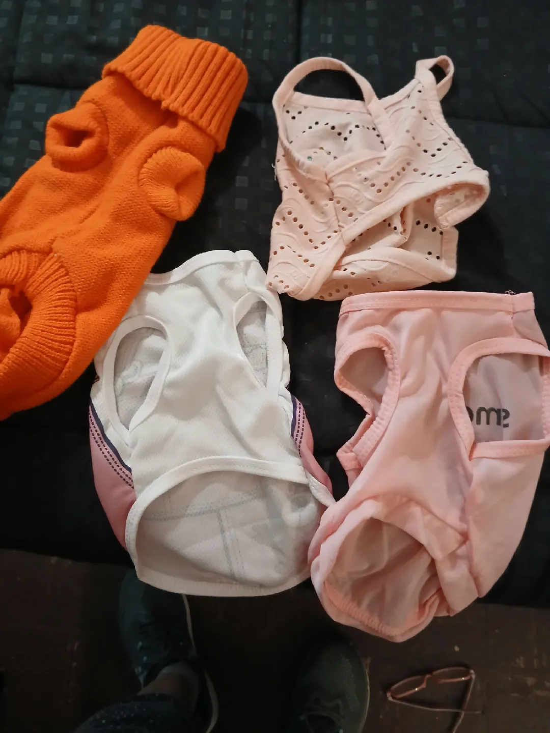 Dog Clothes Bundle - Small Dog image indicator(3)
