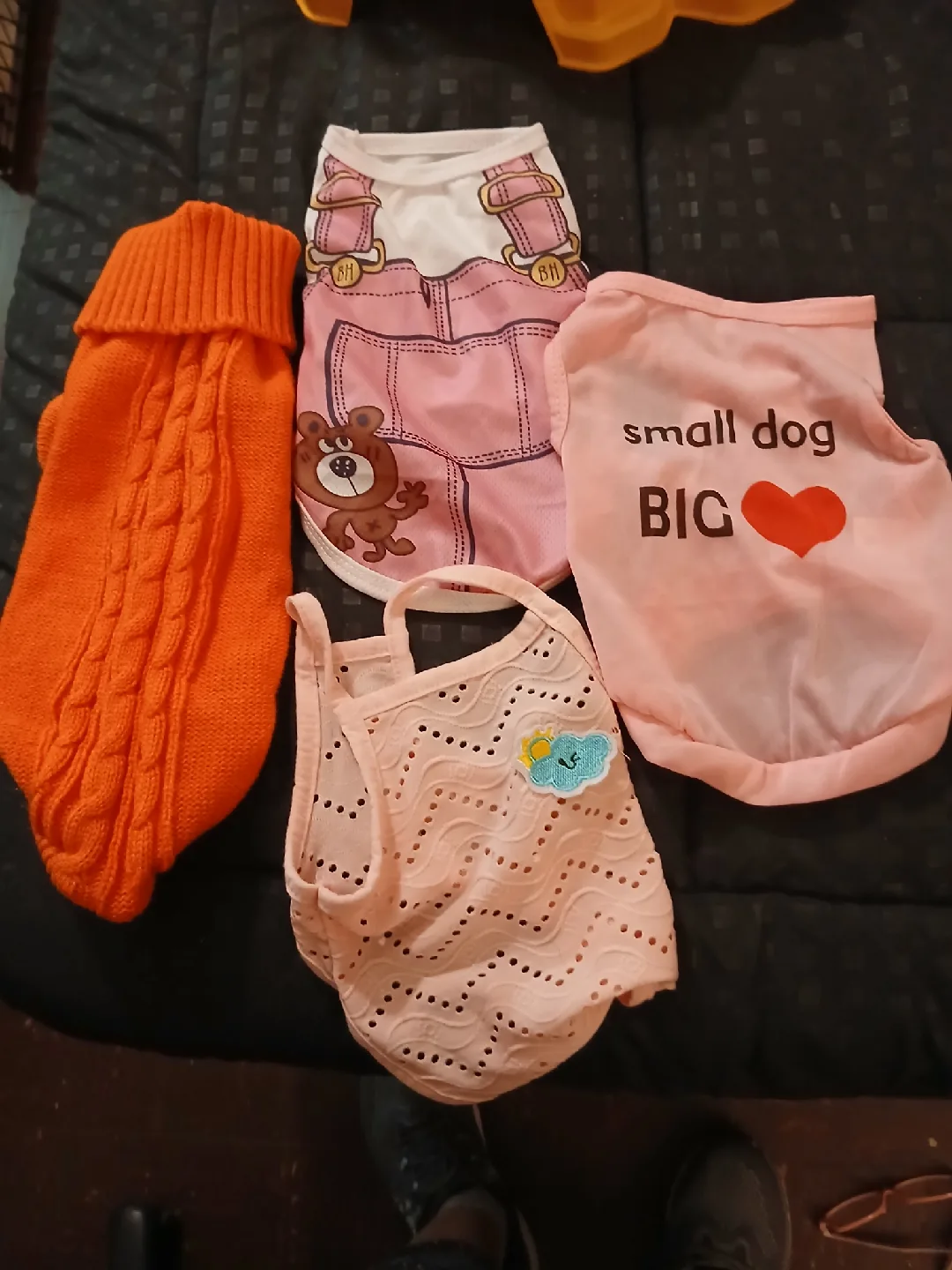 Dog Clothes Bundle - Small Dog image indicator(4)