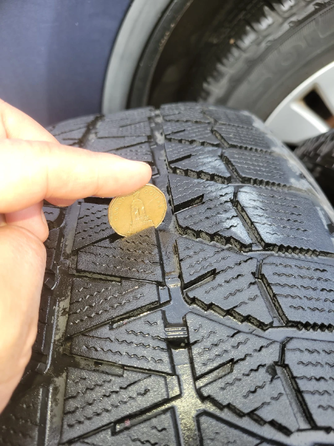 Bridgestone Blizzak DM-V2 Winter Tires - photo 4