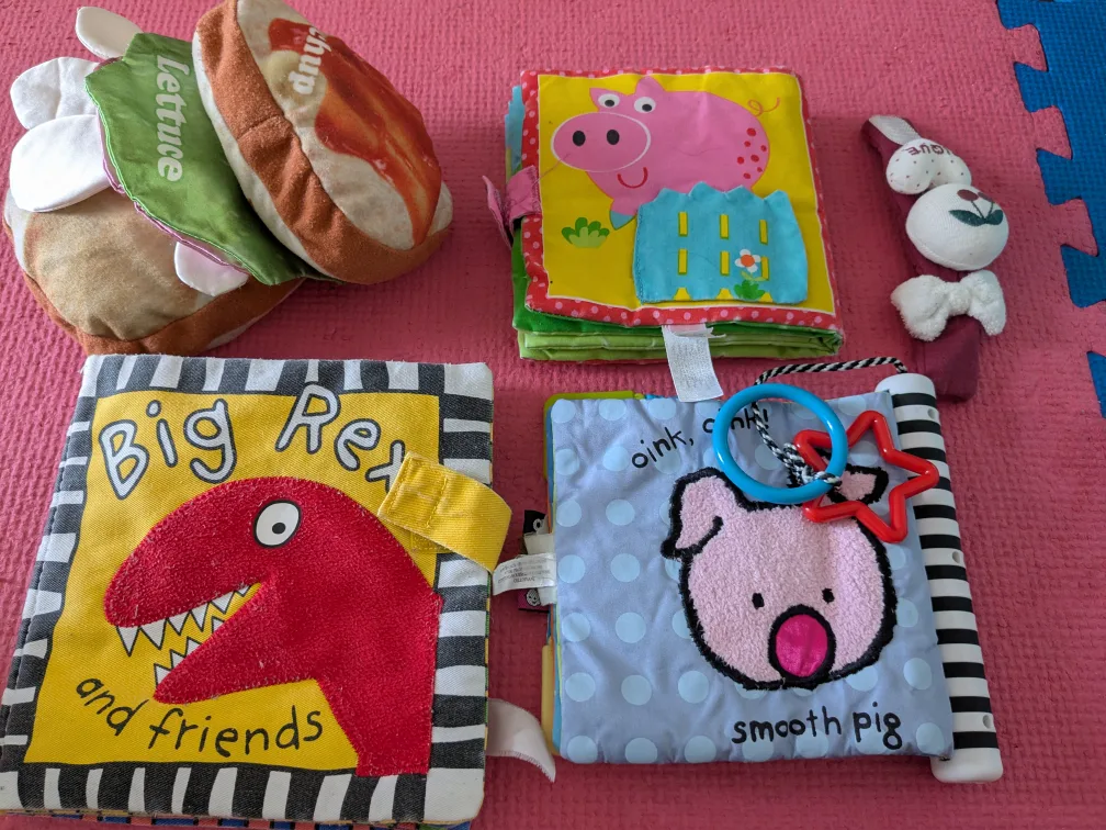 Baby Cloth Books - Big Rex & Friends, Pig