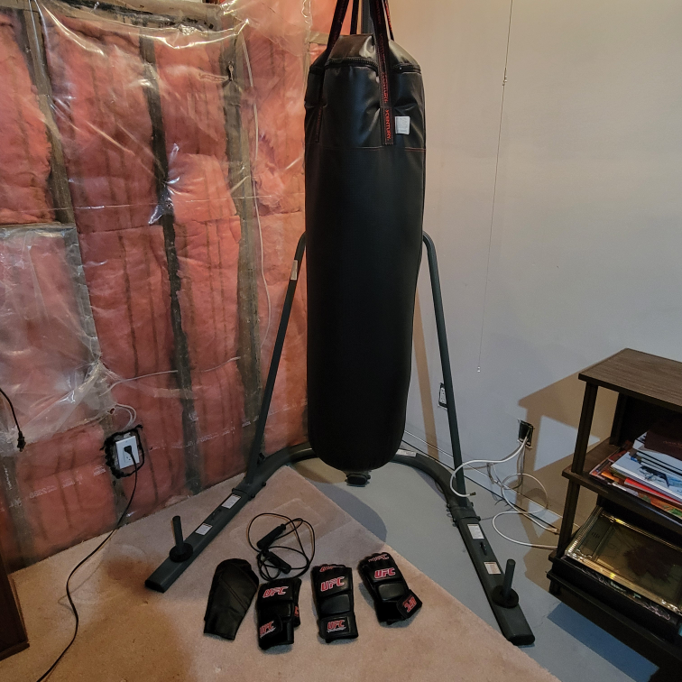 Century MMA Punching Bag with UFC Gloves