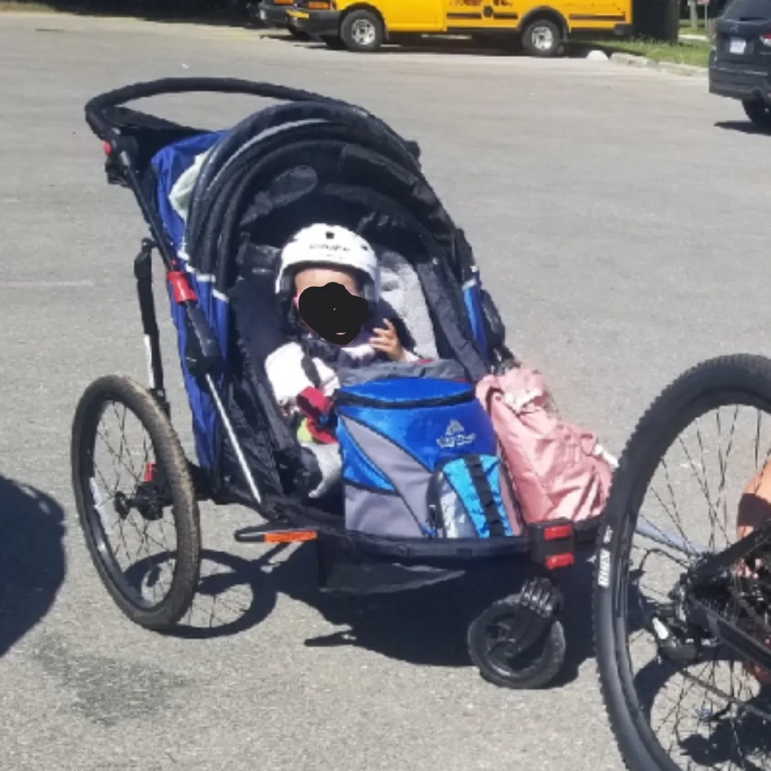 Schwinn Joyrider Double Bike Trailer/Stroller image indicator(10)