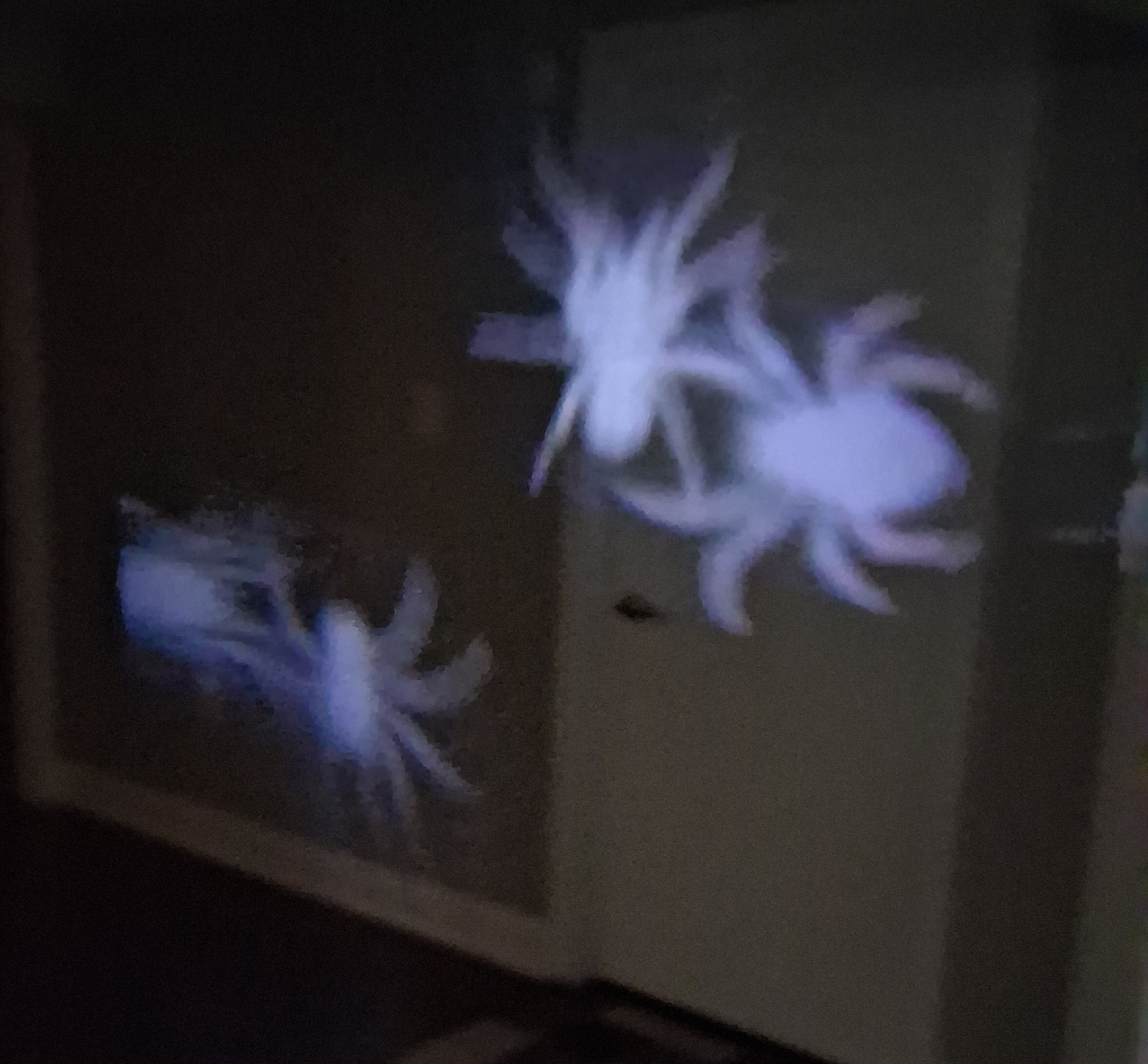Halloween Spider LED Lightshow whirl motion projection